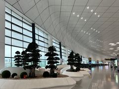 -郑州新郑国际机场-T2航站楼