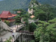 -大芦花风景区