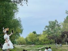 -汉长安城未央宫国家考古遗址公园