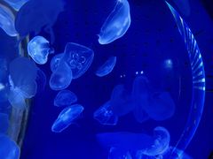 -厦门海底世界