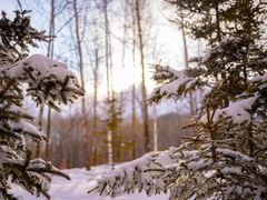 -长白山万达国际滑雪场
