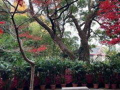 -岳麓山风景名胜区