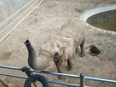 -西霞口神雕山野生动物世界