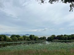 -上海市保健医疗中心