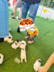 -萌宠亲子动物乐园(槐房万达店)