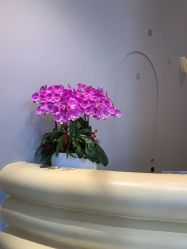 -超级奈尔宝SUPER NEOBIO(杭州星光店)