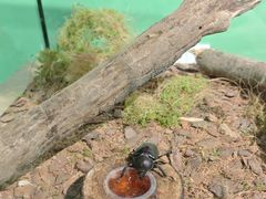 -昆山招商花园城