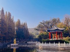 -湛山寺