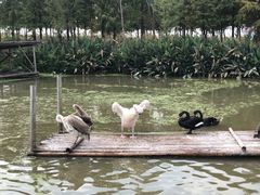 -宁波杭州湾国家湿地公园