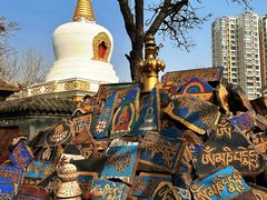-护国法轮寺