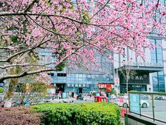-维也纳国际酒店·苏州火车站店