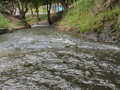 -天目湖松岭竹海漂流
