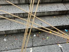 -深圳仙湖植物园