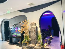 -TOP HAIR SALON