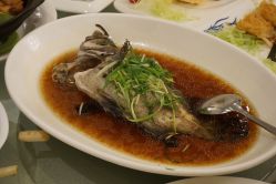 -金翠皇宫·宴会厅