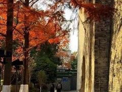 -曙光国际大酒店中餐厅