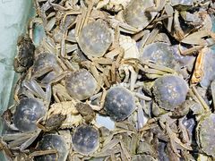 -九寸花汀海鲜烤肉自助(中东迪克店)