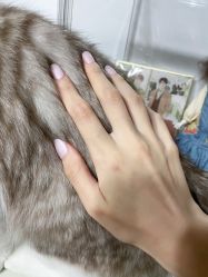 -小美汇美甲美睫美护