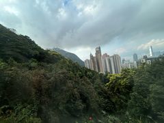 -太平山顶