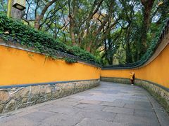 -普陀山风景名胜区-法雨禅寺