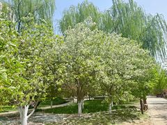 -元大都城垣遗址公园