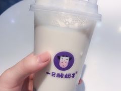 -一只酸奶牛(八一路店)