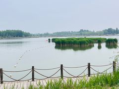 -野鸭湖国家湿地公园
