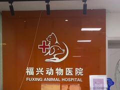 -瑞派福兴宠物医院犬猫全科·骨科·中西医结合(河东店)