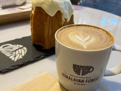 -喜马拉雅森HIMALAYAN FOREST