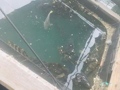 -蓝湾碧波·老字号·疍家非遗海上餐厅