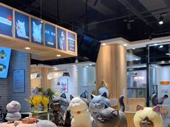 -藏猫猫咖啡主题馆(中央大道店)