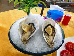 法国生蚝-蚝专家(北滘店)