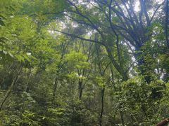 -飞霞风景名胜区