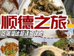 -聚福山莊·寻味顺德(北滘店)