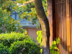 -大妙火锅·非物质文化遗产(东湖公园店)