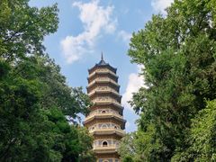 -灵谷景区