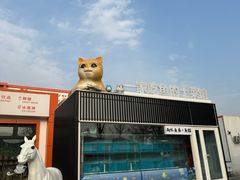-向外鱼乐·土菜·虹鳟鱼