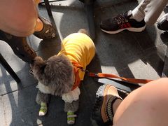 -81BAKERY(大学路店)