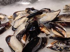 -韩盛炭火烤肉(万达广场店)