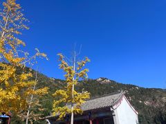 -信号山公园