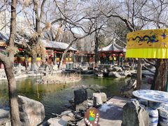 -白家大院·王府宫廷菜(苏州街店)