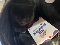 -严国平动物医院(德政总院)