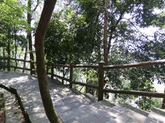 -铁山坪森林公园