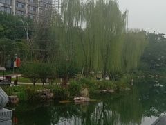 -北湖公园