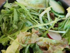 青菜沙拉-铃木食堂(宽街店)
