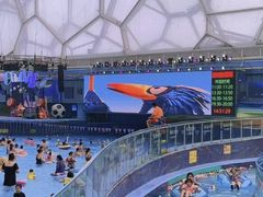 -水立方嬉水乐园