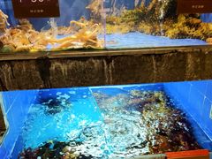 水产区-徐记海鲜(陕西历史博物馆|明德门店)