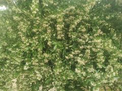 -宜昌富力皇冠假日酒店·咖啡1号西餐厅