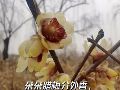 -丰台花园