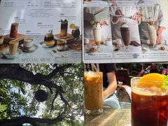 -Fern Forest Cafe